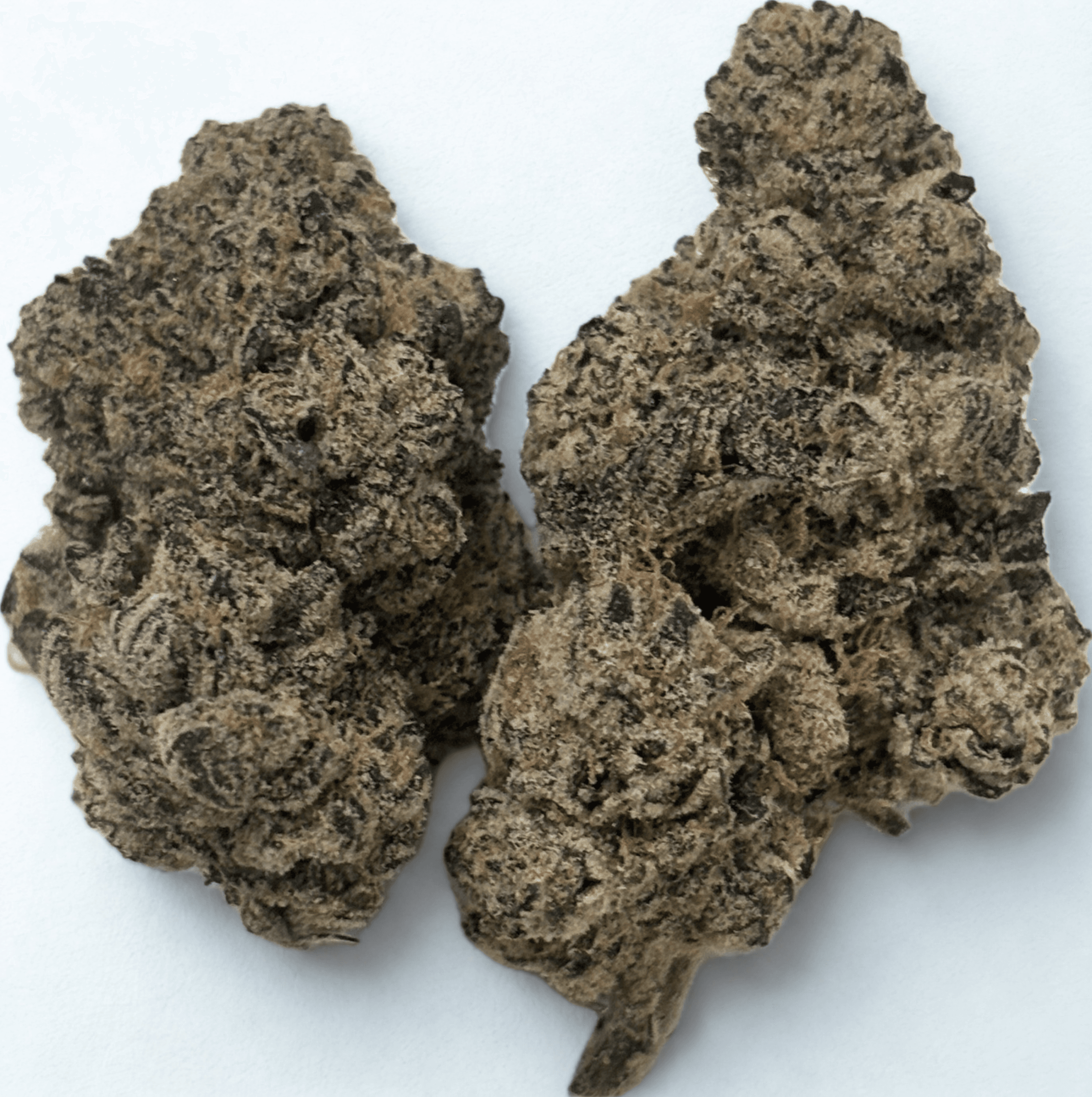 Exclusive Half Oz(14g)