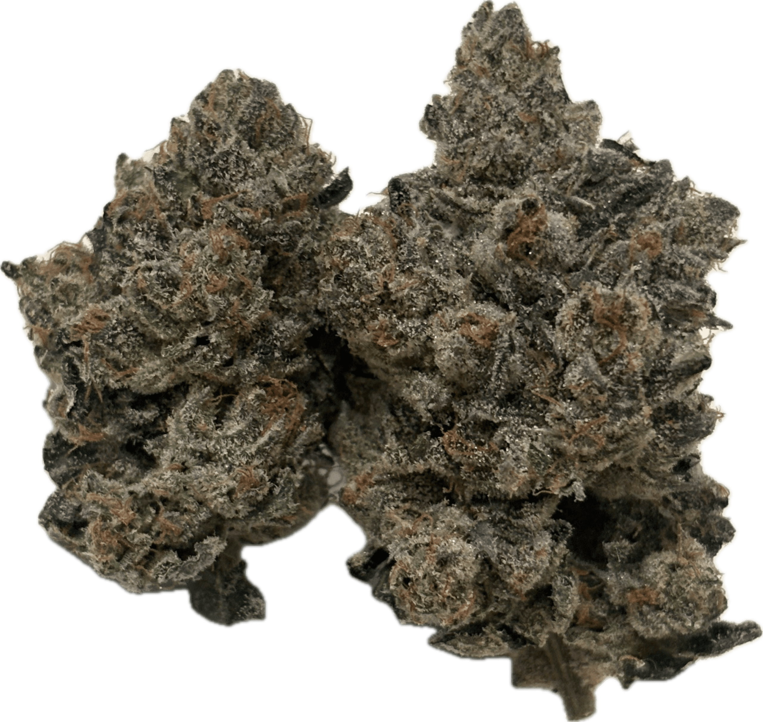 Exclusive Half Oz(14g)